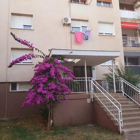 Popovic Apartment Pula Exterior photo